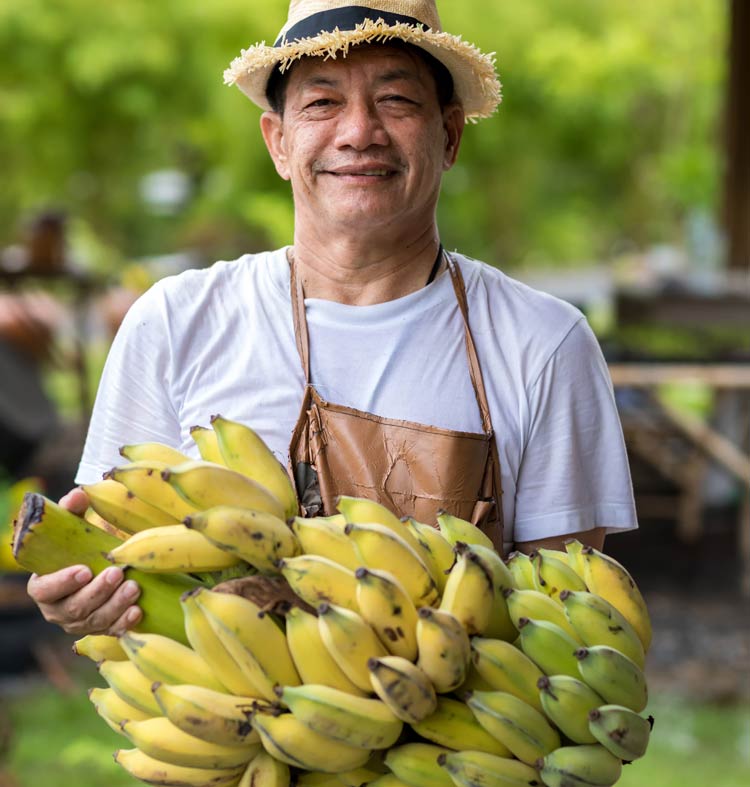 Agricultor familiar segurando um enorme cacho de bananas