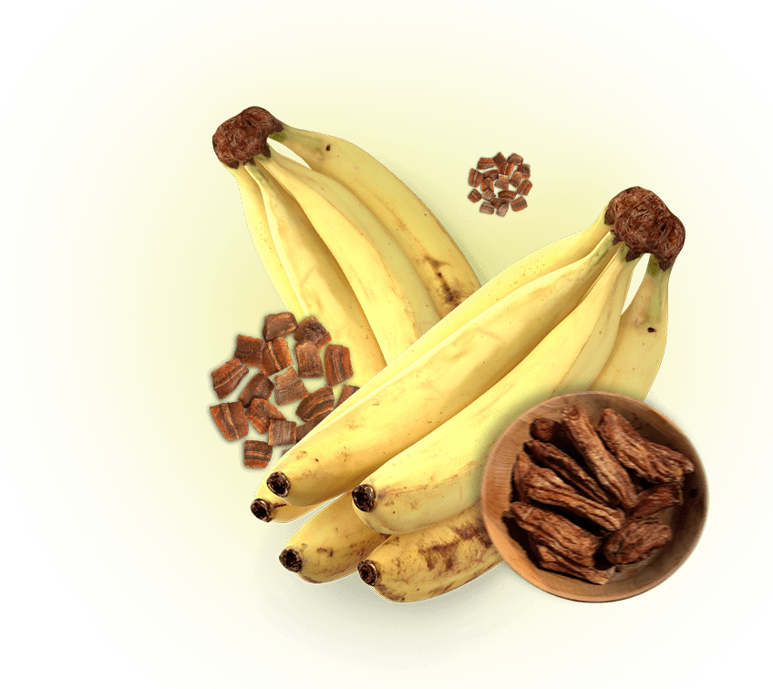 Bala de banana, banana passas e dois cachos de banana